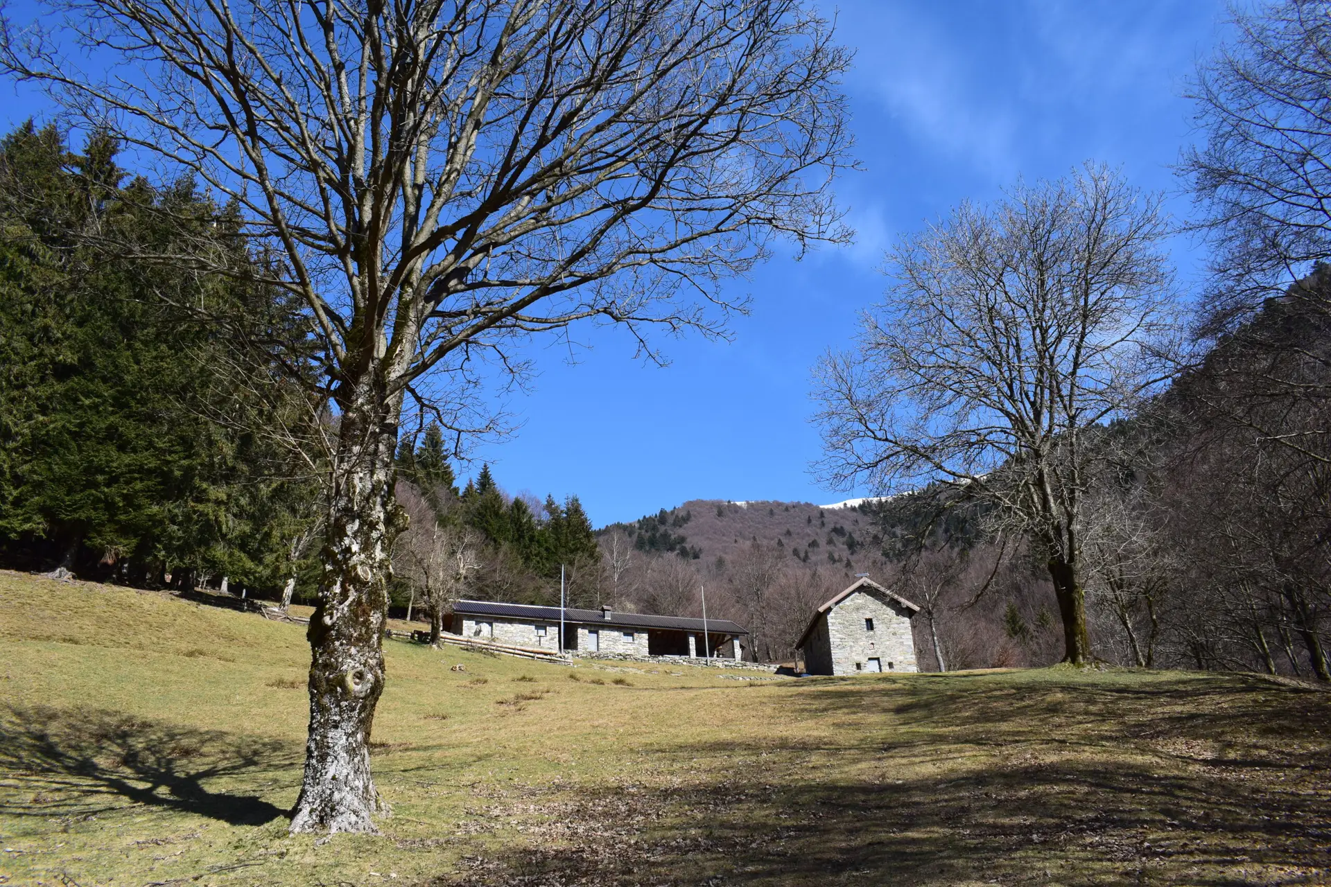 Alpe Varoo