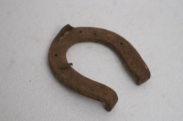 Ferro da cavallo per