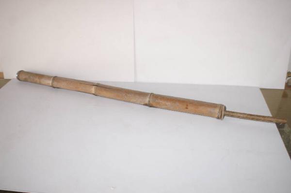 Canna da vischio per