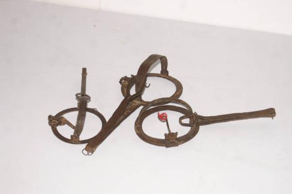 Trappola per