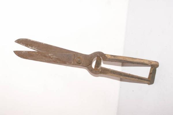 Cesoia per