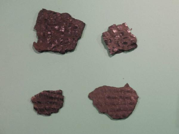 Esemplare fossile di Scaglie di Paralepidotus ornatus - Paralepidotus ornatus