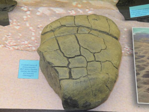 Esemplare pseudofossile di Pseudofossile -