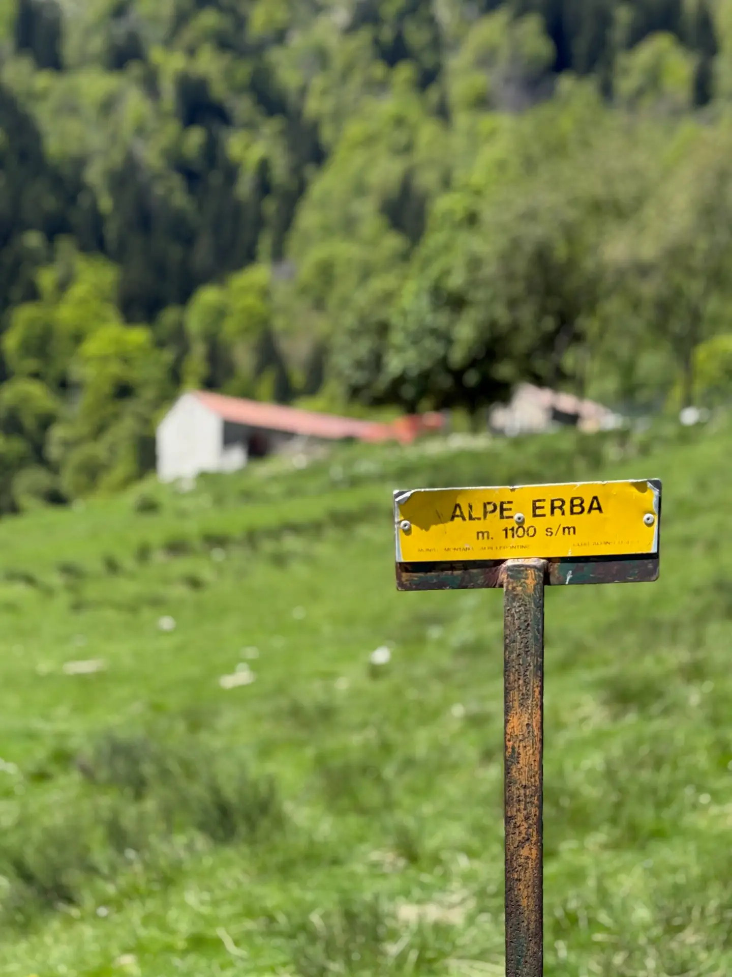 Alpe Erba - Val Sanagra