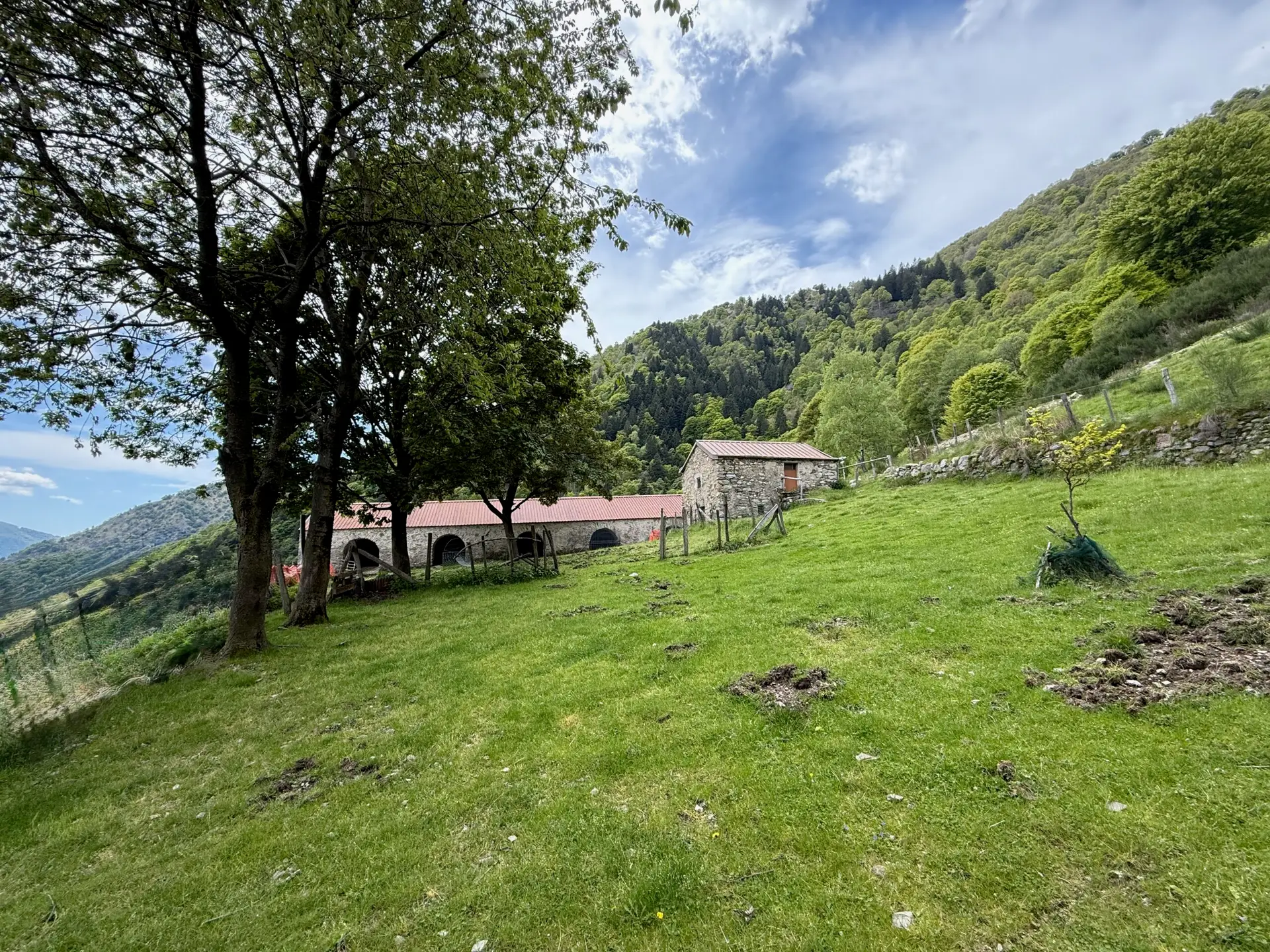 Alpe Erba - Val Sanagra