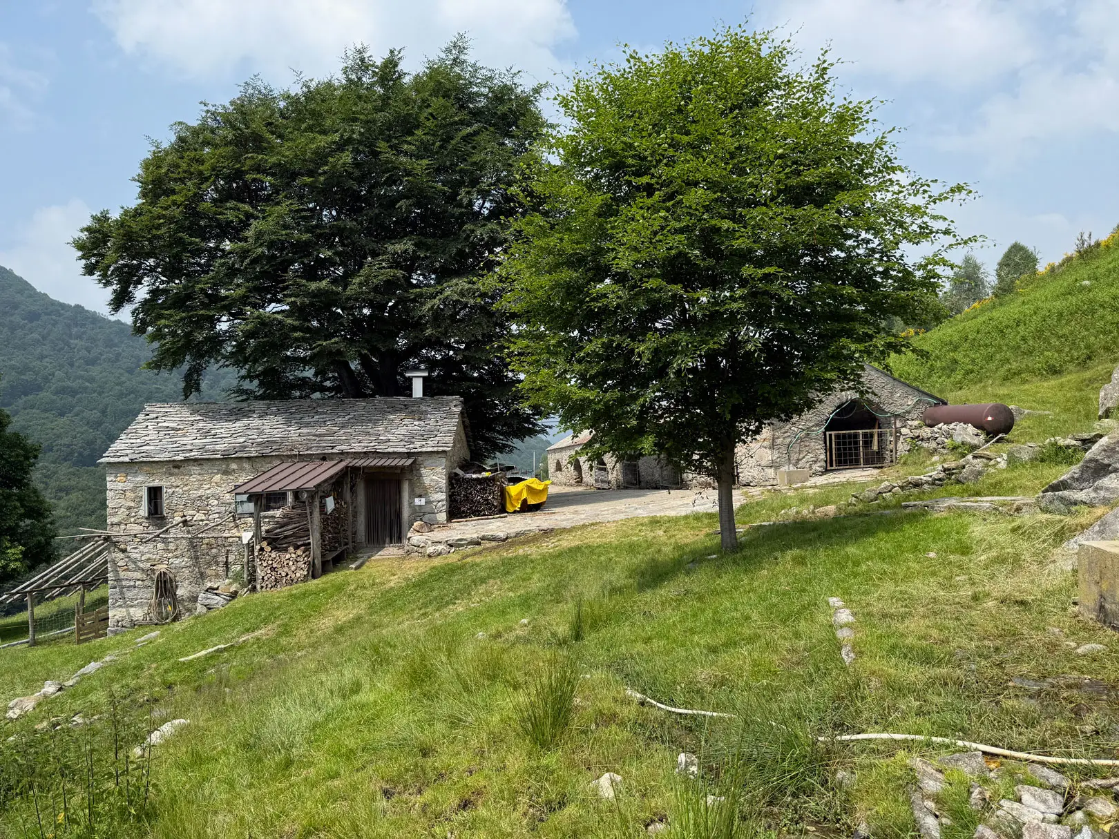 Alpe Logone, Val Sanagra