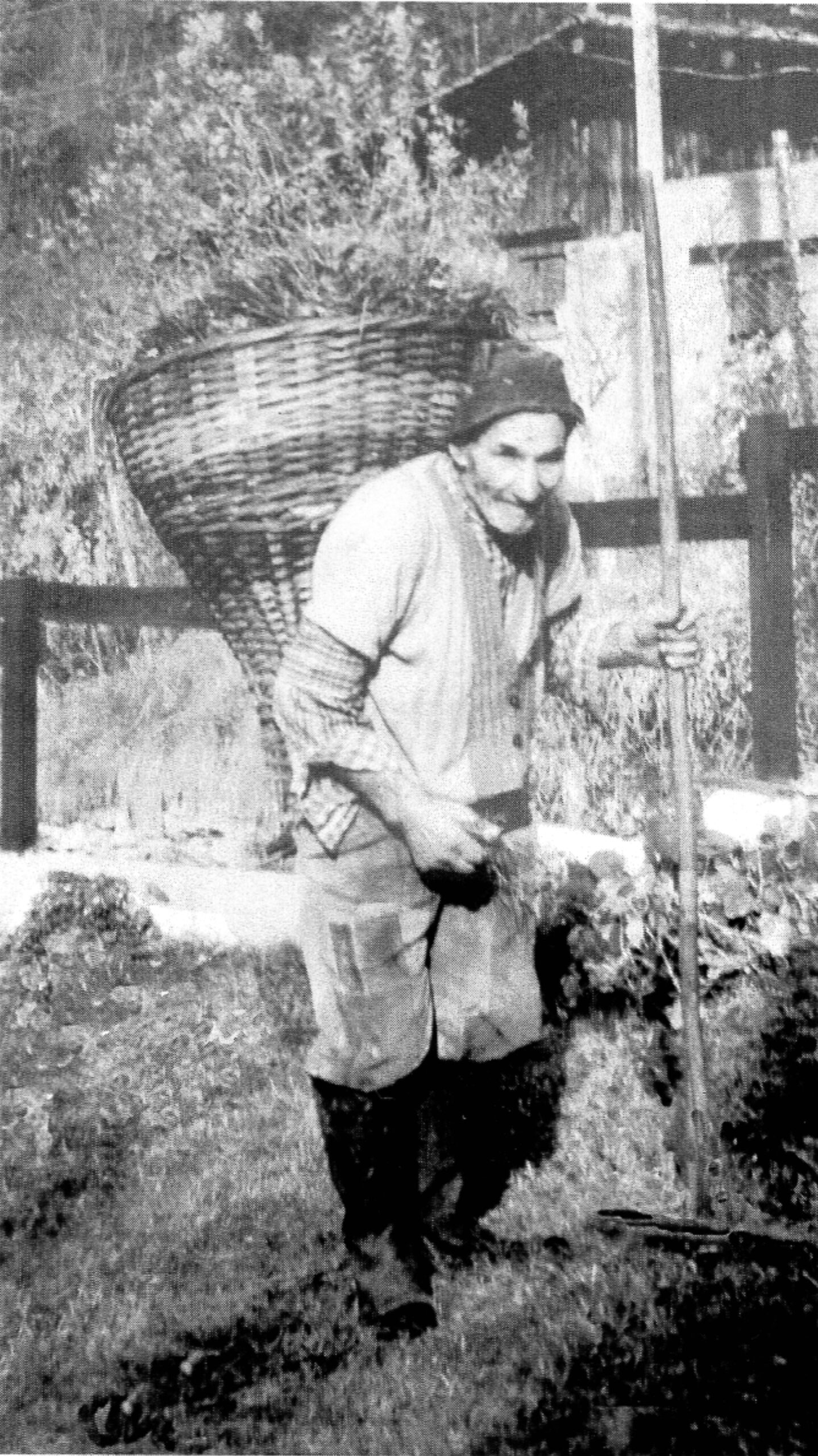 MINGU -Countryman-Gerla.