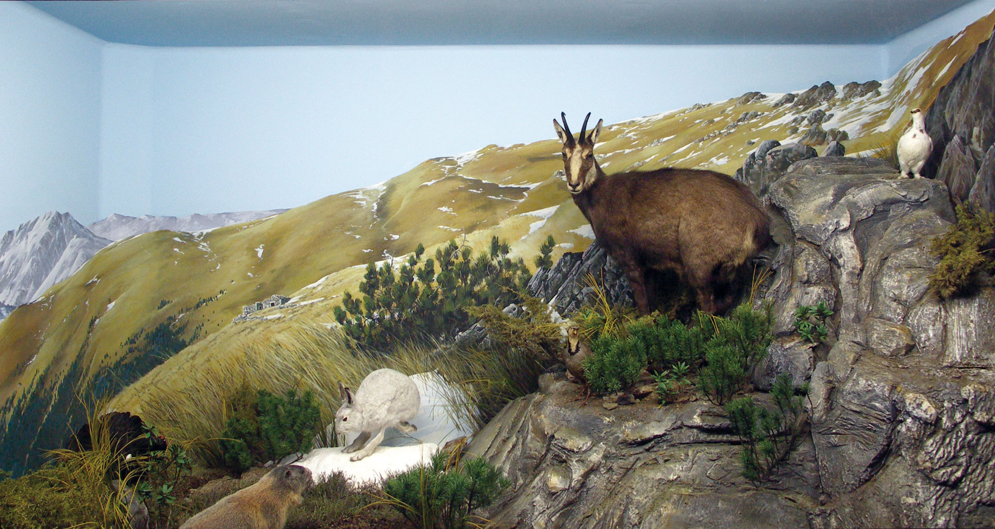 Diorama - Museo Val Sanagra