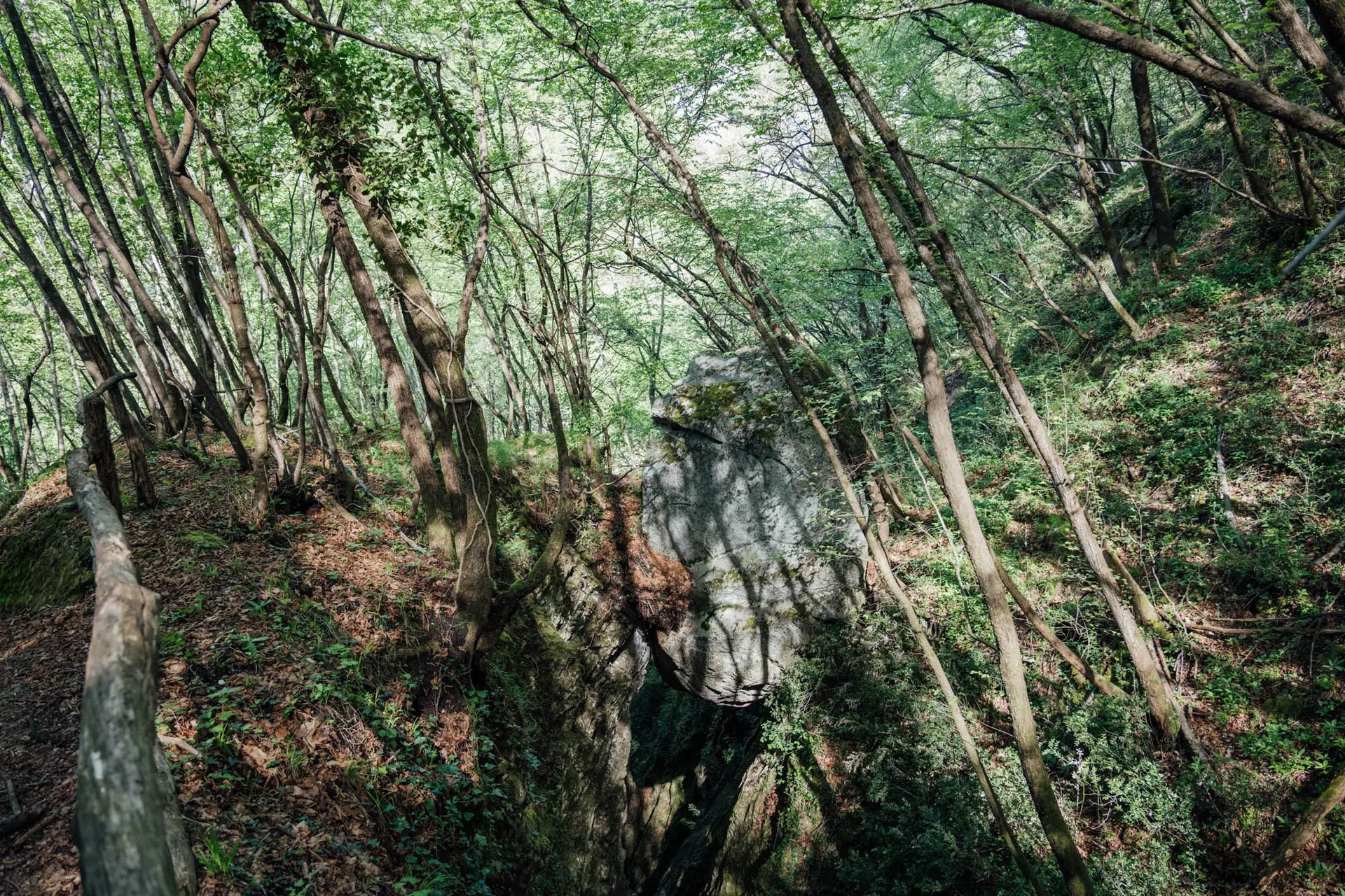 Pietra Pendula, Val Sanagra