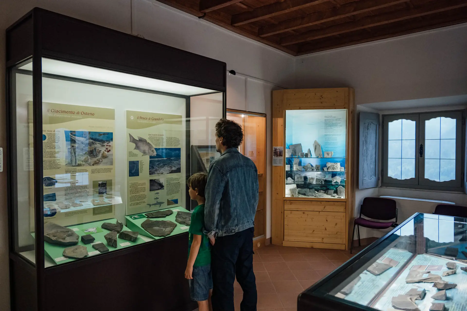 da sostituire in: sala fossili e articolo La doppia provenienza