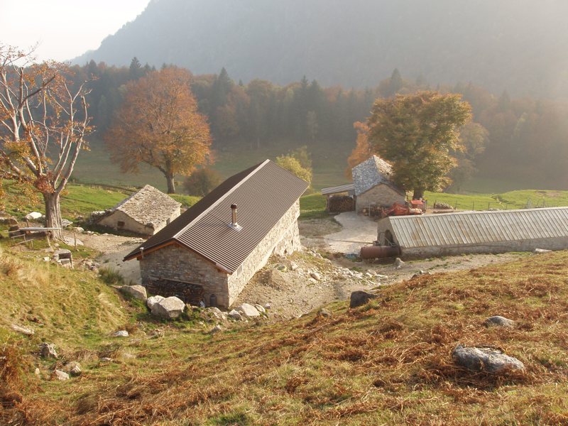 Alpe Logone - Val Sanagra