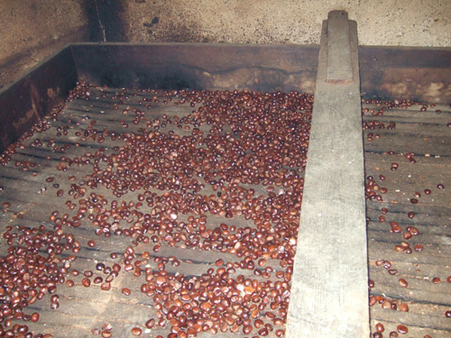 Graà essicatoio castagne