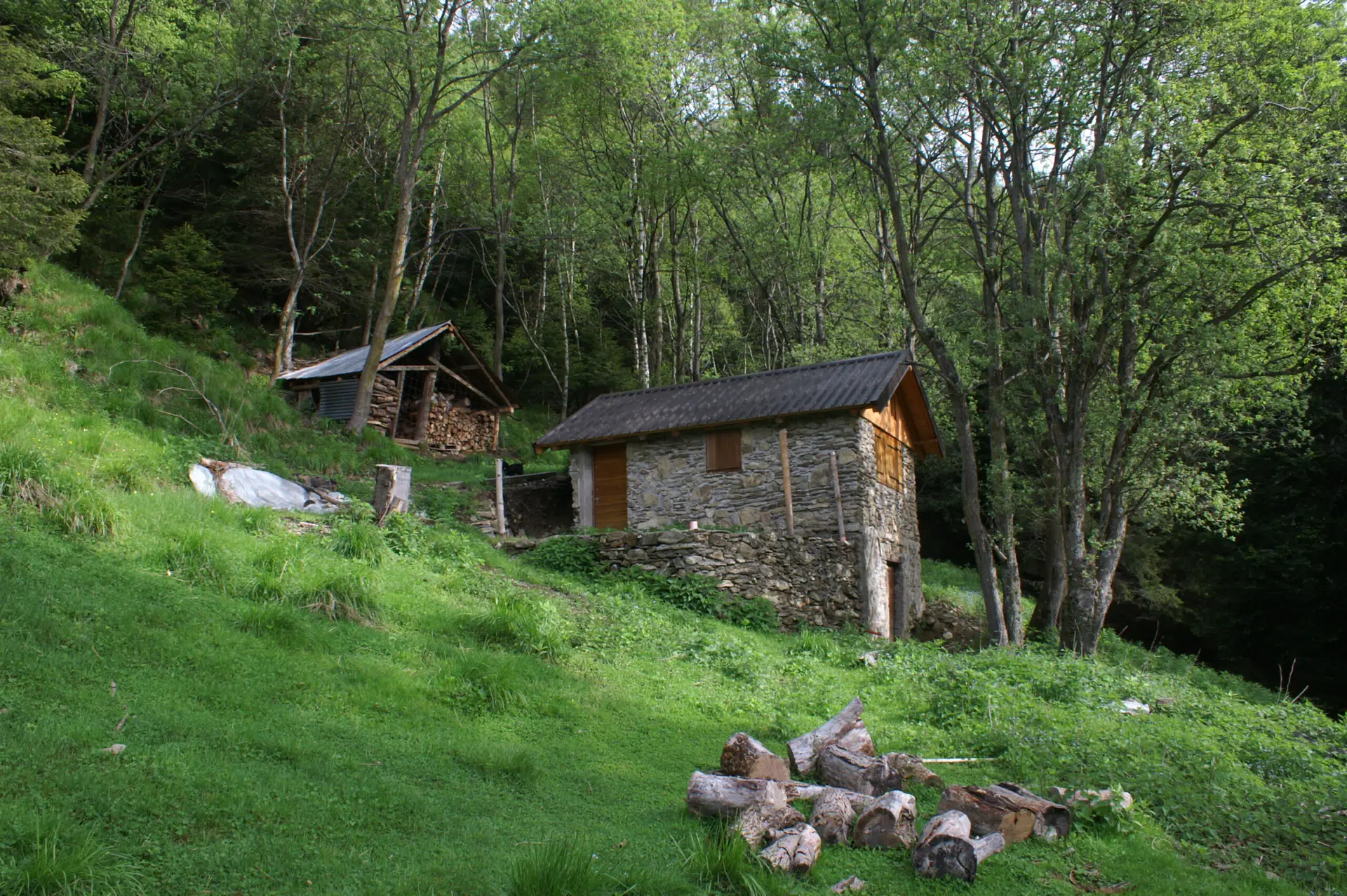 Alpe Poltrini d'Erba