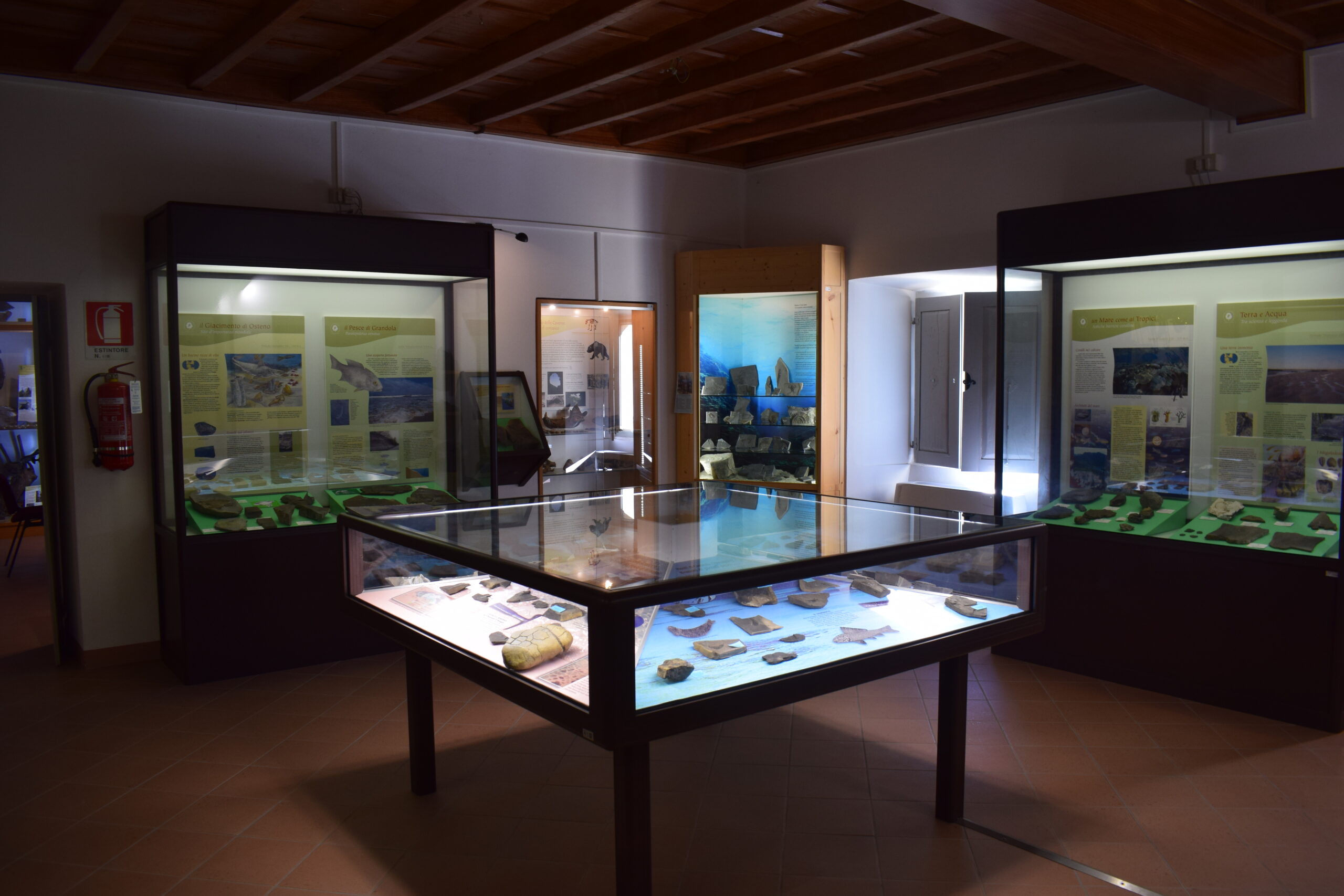 Sala Fossili